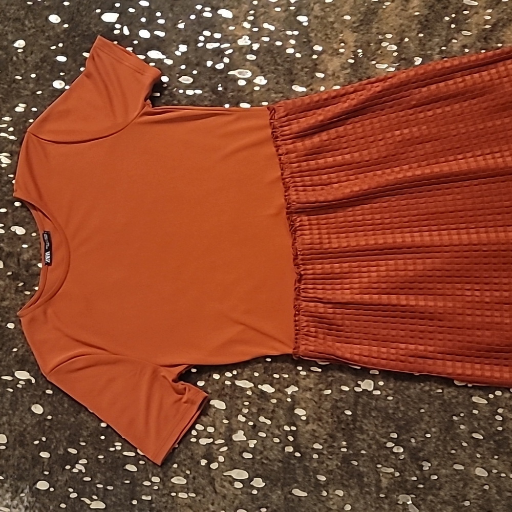 Zara dress